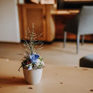 https://alpe-dornach.com-bavaria.com